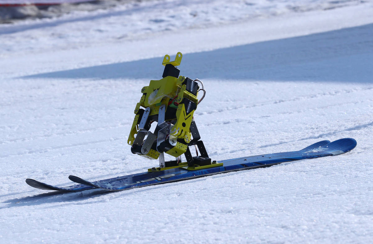 窗口期亚特兰大调整名单以备全明星赛，外线爆发环节打磨，引发热议，团队化学反应显著的简单介绍